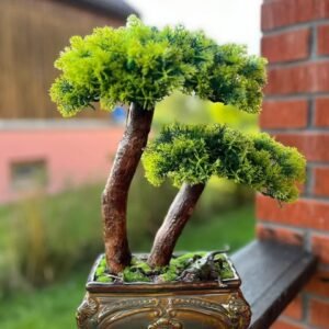 Dirbtinis bonsai medelis su keramikine vaza