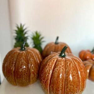 Keramikiniai moliūgai didesni