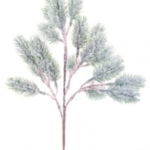 Snieguota eglės šakelė