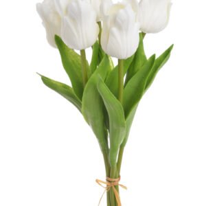 Lateksinės tulpės – 5vnt